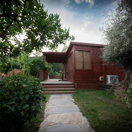El Jardin Del Eden Villa Orgiva Dış mekan fotoğraf
