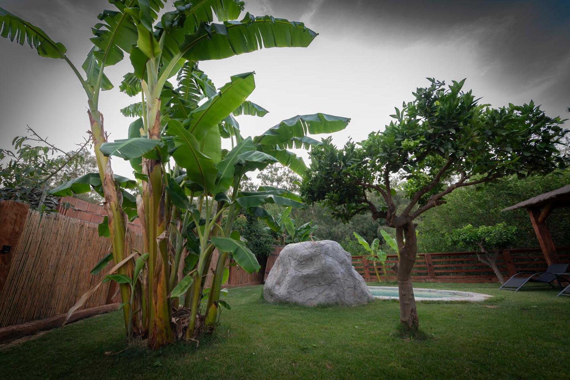 El Jardin Del Eden Villa Orgiva Dış mekan fotoğraf